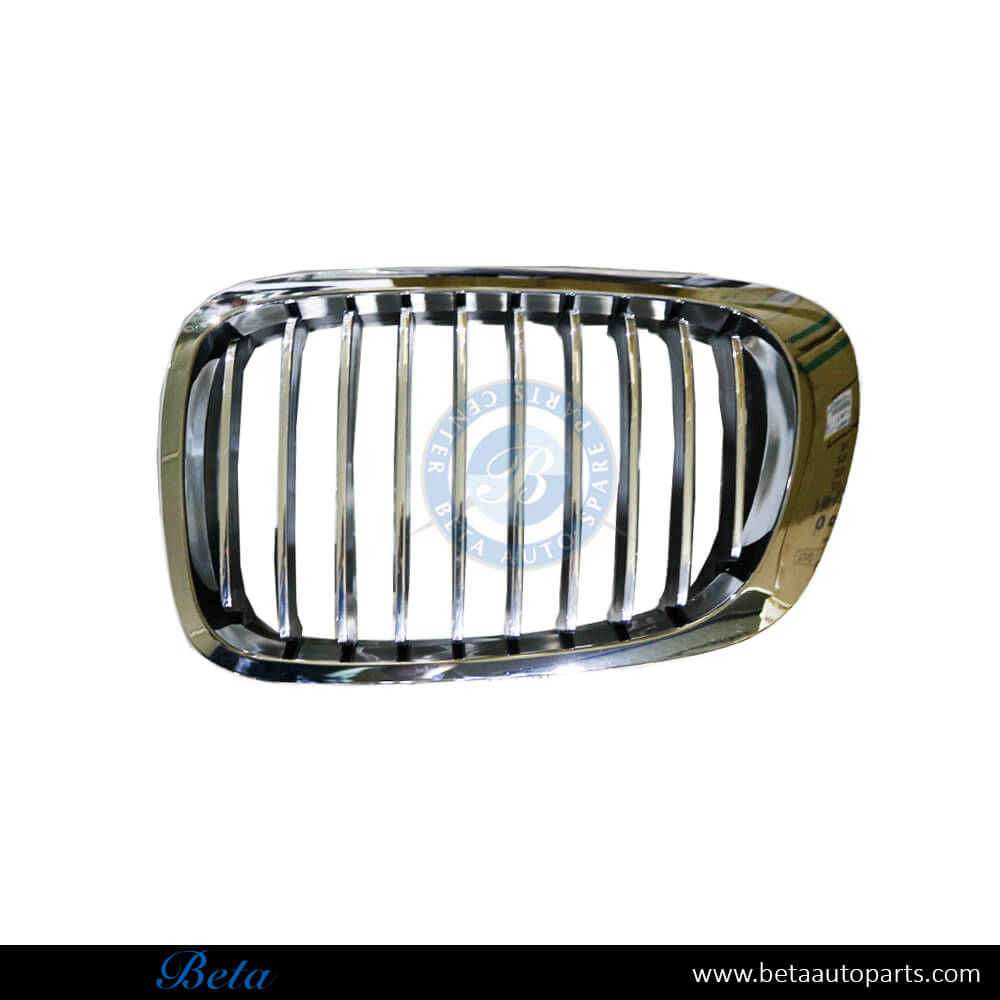 Left Side Grille for BMW 3 Series E46 1998-2001 models, Part Number 51138208685 Left Side Grille for BMW 3 Series E46 1998-2001 models, Part Number 51138208685